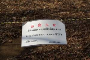 おもいやりを、大事にしたい